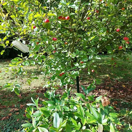 Le Chti Paradis Mericourt (Pas-de-Calais)